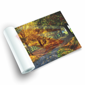 Adesivos Vinil FOSCO | Sem Refile (Inteiro)